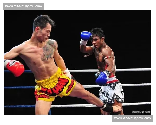 泰拳王播求巅峰对决精彩比赛视频全程震撼回顾经典瞬间高清呈现热血